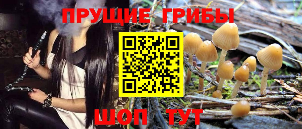 Псилоцибиновые грибы ЛСД  Вход с VPN  Галлюциногенные грибы мицелий  где найти   Кимры 